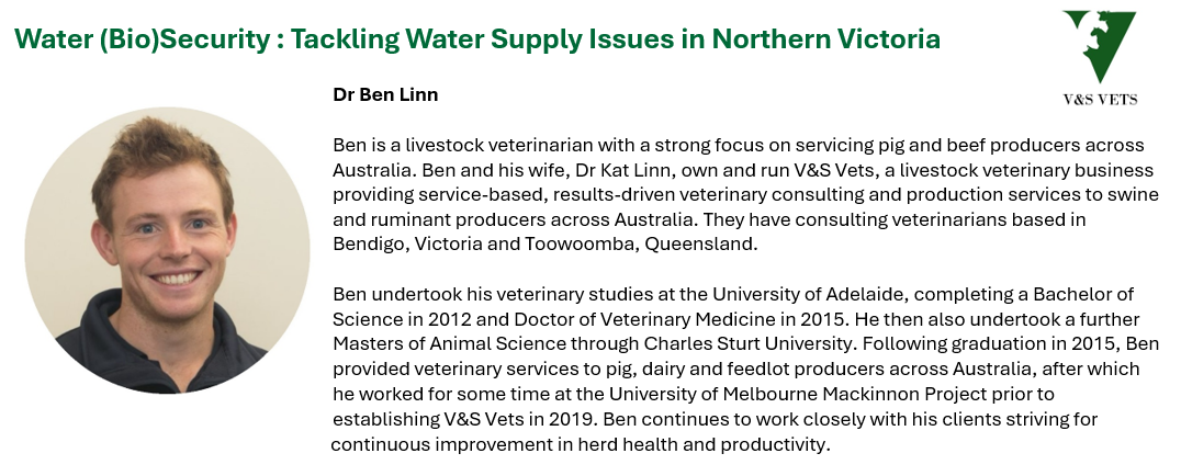 V&S Vets
